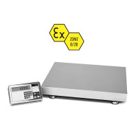 Dini Argeo "GEX-FZ-1G": Precizna talna tehtnica